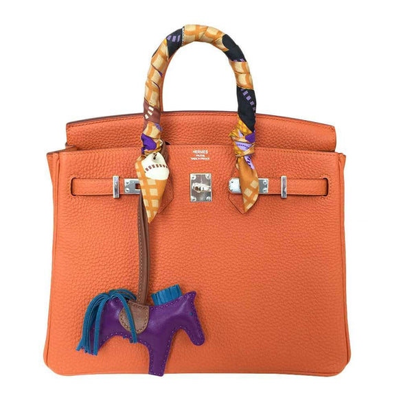 hermes birkin 25 feu new front open