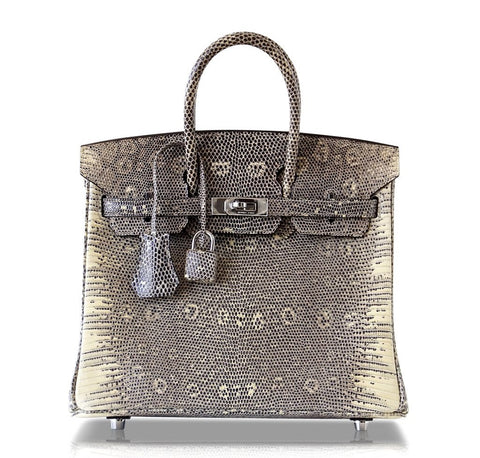 Hermès Birkin 25 Bag Ombre Lizard Palladium pristine front