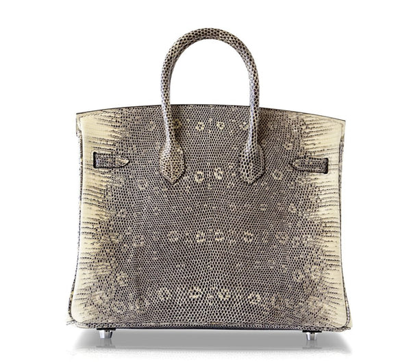 Hermès Birkin 25 Bag Ombre Lizard Palladium pristine back