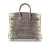 Hermès Birkin 25 Bag Ombre Lizard Palladium pristine back
