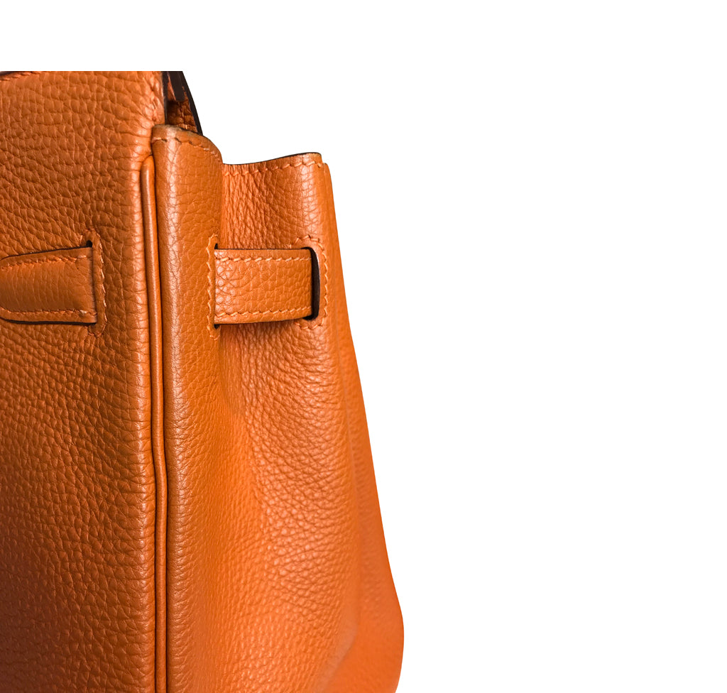 Hermes Birkin Handbag Potiron Chevre de Coromandel with Palladium Hardware  30