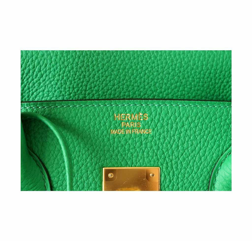 Rare Hermes Birkin 35 Bamboo Ghillies Togo & Swift PHW Handbag, 2015