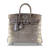 Hermès Birkin 25 Bag Ombre Lizard Palladium pristine front