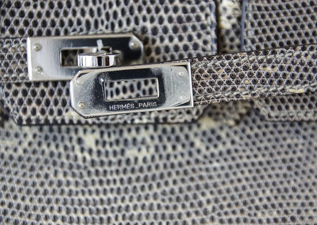Hermès Birkin 25 Ombre Lizard Palladium Hardware - Very Rare – ZAK BAGS ©️