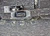 Hermès Birkin 25 Bag Ombre Lizard Palladium pristine clasp hardware