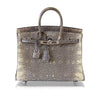 Hermès Birkin 25 Bag Ombre Lizard Palladium pristine front open