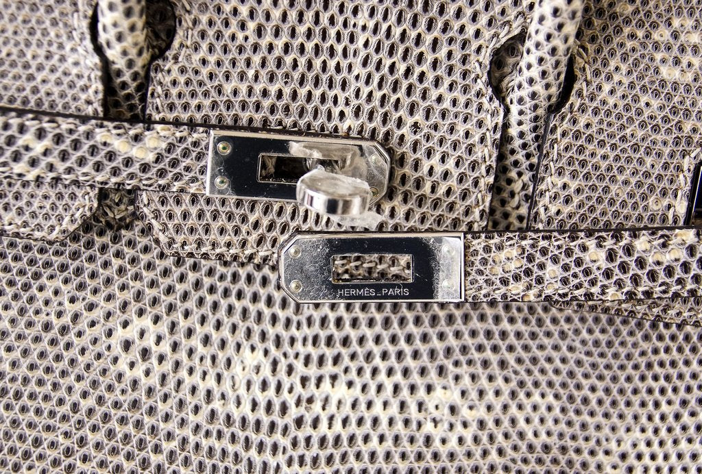 Hermès Ombre Varanus Salvator Lizard Birkin 25 - Brown Handle Bags