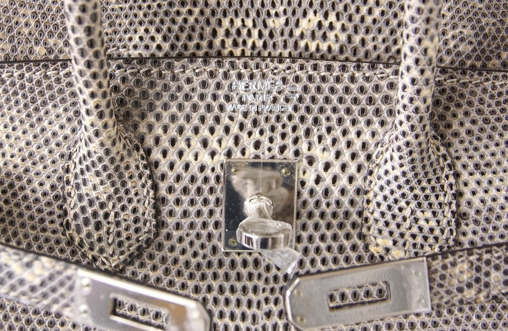 Hermès Birkin 25 Ombre Lizard Bag PHW