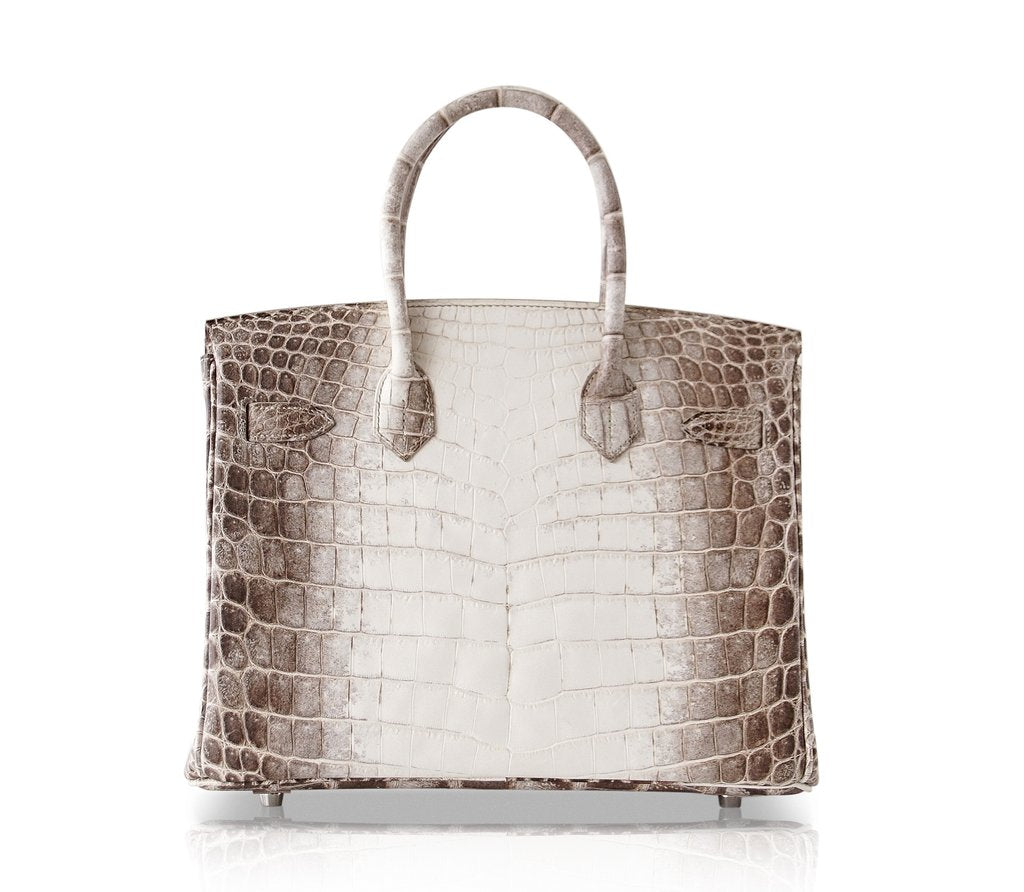 Hermes Birkin Bag 30cm Diamond Himalaya Blanc Crocodile Palladium